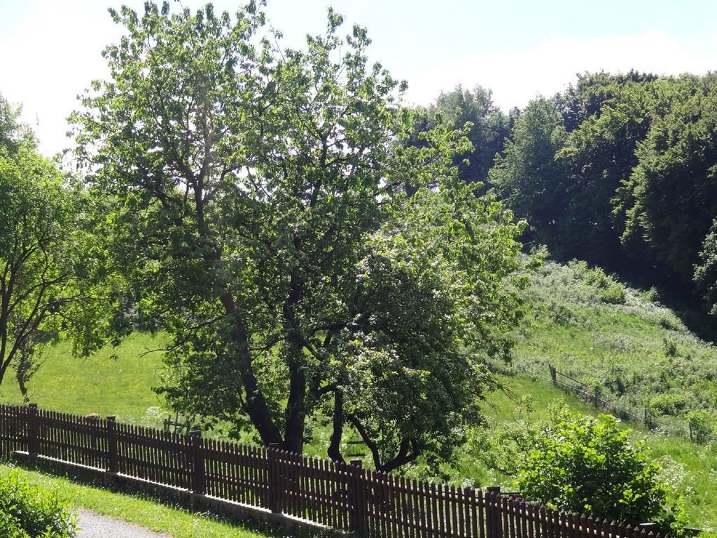 Lauras Landhauspension Medebach Exterior foto